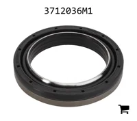 AGCO 3712036M1 Радиальное уплотнительное кольцо