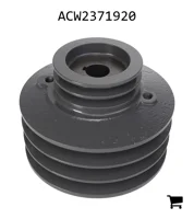AGCO ACW2371920 Шкив