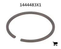 AGCO 1444483X1 Стопорное кольцо