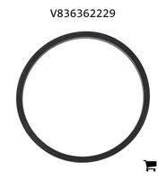 AGCO V836362229 Прокладка центробежного масляного фильтра