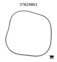 AGCO 378290X1 Уплотнительное кольцо трансмиссии, Ø 253,59 x 3,53 мм