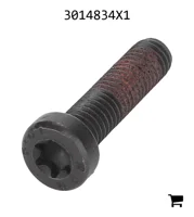 AGCO 3014834X1 Винт с потайной головкой