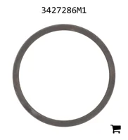 AGCO 3427286M1 Шайба