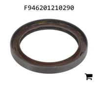 AGCO F946201210290 Сальник