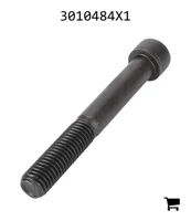 AGCO 3010484X1 Винт с потайной головкой