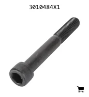 AGCO 3010484X1 Винт с потайной головкой