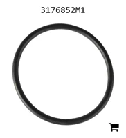 AGCO 3176852M1 Уплотнительное кольцо