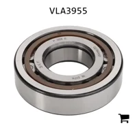 AGCO VLA3955 Роликовый подшипник