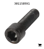 AGCO 3011589X1 Винт с цилиндрической головкой и шестигранным углублением