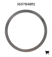 AGCO 3697848M1 Шайба