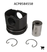 AGCO ACP0584550 Поршень