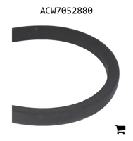 AGCO ACW7052880 Ремень