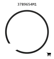 AGCO 3789654M1 Стопорное кольцо