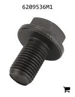 AGCO 6209536M1 Болт