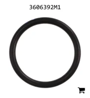 AGCO 3606392M1 Уплотнительное кольцо
