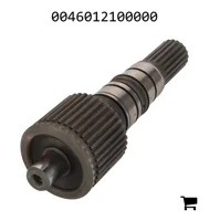 AGCO 0046012100000 Вал