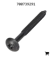 AGCO 700739291 Винт Torx