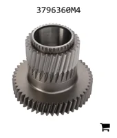 AGCO 3796360M4 Шестерня