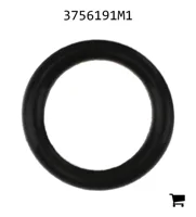 AGCO 3756191M1 Уплотнительное кольцо