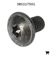 AGCO 3011175X1 Винт с полукруглой головкой