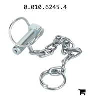 AGCO 0.010.6245.4 Цепь AGCO Parts