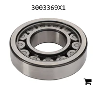 AGCO 3003369X1 Цилиндрический роликовый радиальный подшипник