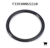 AGCO F339300021110 Уплотнительное кольцо планетарной передачи