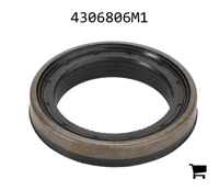 AGCO 4306806M1 Прокладка