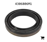 AGCO 4306806M1 Прокладка