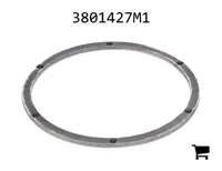 AGCO 3801427M1 Кольцо