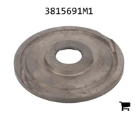 AGCO 3815691M1 Упорная шайба