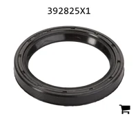 AGCO 392825X1 Прокладка