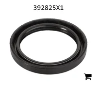 AGCO 392825X1 Прокладка