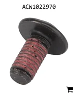 AGCO ACW1022970 Винт с цилиндрической головкой