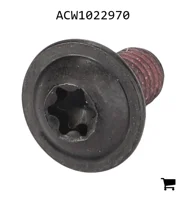 AGCO ACW1022970 Винт с цилиндрической головкой