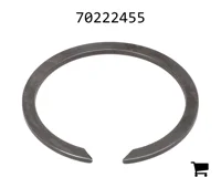 AGCO 70222455 Кольцо