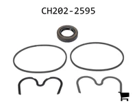 AGCO CH202-2595 Комплект уплотнений
