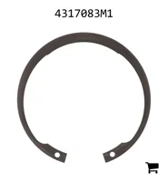 AGCO 4317083M1 Кольцо