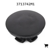 AGCO 3713742M1 Заглушка