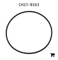 AGCO CH2J-8163 Уплотнительное кольцо