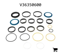 AGCO V36350600 Комплект прокладок