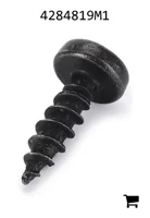 AGCO 4284819M1 Винт
