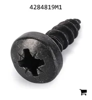 AGCO 4284819M1 Винт