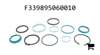 AGCO F339895060010 Комплект уплотнений гидроцилиндра