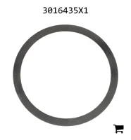 AGCO 3016435X1 Регулировочная шайба