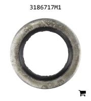 AGCO 3186717M1 Уплотнение