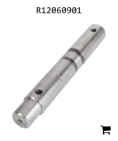 AGCO R12060901 Вал