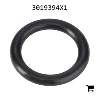 AGCO 3019394X1 Уплотнительное кольцо гидравлического насоса