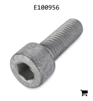 AGCO E100956 Болт