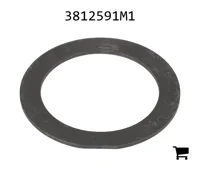 AGCO 3812591M1 Шайба